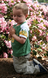 little-boy-praying-outside-in-the-garden
